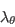 \lambda_{\theta}