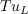 Tu_{L}
