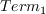 Term_1